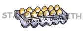 C-141 Egg Carton